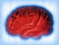 Current technology for brain cooling unlikely to help trauma patients