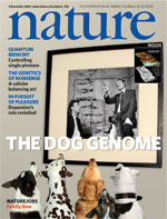 Dog Genome Sheds Light on Human Evolution