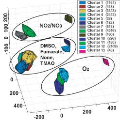 Escherichia coli doesn�t gamble with its metabolism
