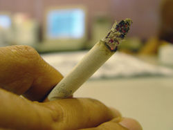 Nicotine Withdrawal Begins Within 30 Minutes