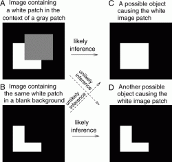 Study shows how context dictates what we believe we see