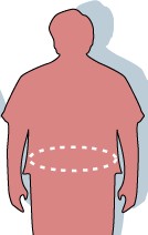 Major genetic study identifies gene for obesity