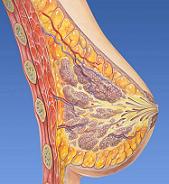 New approaches in breast cancer management may lead to exciting new nonsurgical tools