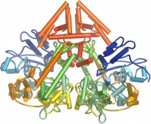 RNA Silencing Sheds Light on the RNA World